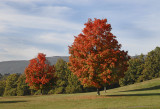 Storm King Art Center