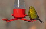 <b>VIDEO:  MORE  THAN  JUST HUMMERS</b>