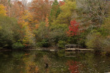 Pond in the Fall