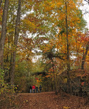 Fall Nature Walk