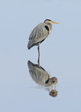 Twin Reflections