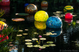chihuly_at_fairchild_2015