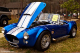 Ford Shelby Cobra April 6