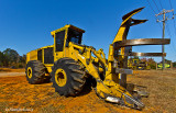 TigerCat Feller Buncher