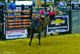 Bucken Bronc