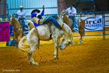 Bare Back Rider