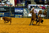 Rodeo Action