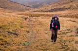 Walking the Track