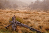 Farm Ridge remainds