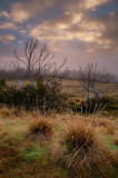View from OKeefs Hut