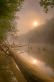 Sun in Mist