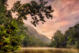 Morning Mist