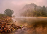 Shrouded in Mist