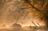 The Mists of November