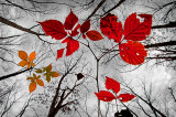 November