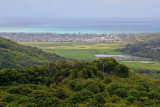 View of Kailua, on the Pali Hwy