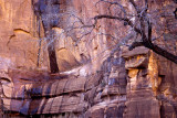 Temple of Sinawava, Zion Canyon