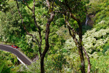 Lower Puohokamoa Falls