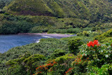 Honomanu Beach