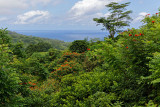 On the road to Hana