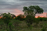 An African sunset