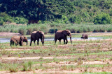 Along the Sabi River