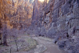 Virgin River, Zion Canyon