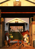 Keeneland Morning 1.jpg