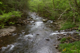Smokies_20120417_4586.jpg