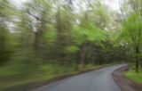 Smokies_20120418_4837.jpg