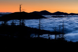 Smokies_20120419_4973.jpg