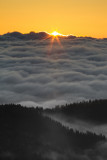 Smokies_20120419_5022.jpg