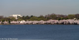 _MG_6869.jpg