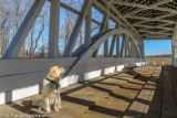 Checking out the covered bridge