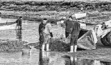 The Seafarers
