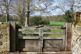 gate 2.jpg