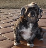 Nell920122.jpg