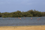 IMG_1384.JPG