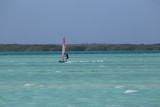IMG_1423.JPG