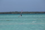 IMG_1425.JPG
