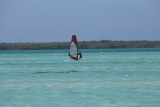 IMG_1427.JPG