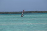 IMG_1429.JPG