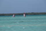 IMG_1443.JPG