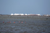 IMG_1465.JPG