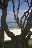 6.  On Waikiki Beach.