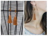 38.  Rust silk tassel earrings.jpg