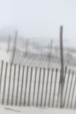 17. A Lensbaby view of morning fog.