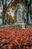 The Autumn Of Your Soul