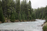 Maligne Creek