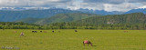 Country side, between Shangri-la and Lijiang